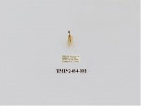 藏品(單點昏黃小苔蛾)的圖片